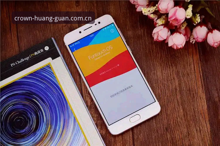 皇冠体彩APP下载全面解析：从安装到体验的完整技术评测